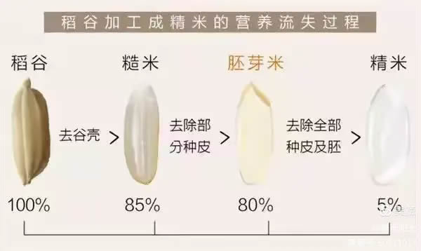 大米2.jpg